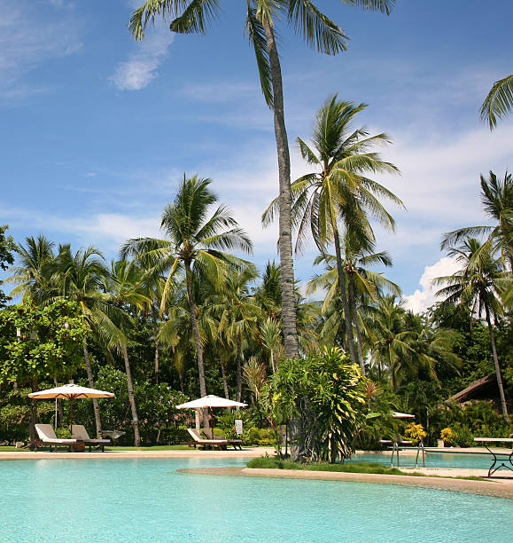 istock tropical paradise garden 146789803