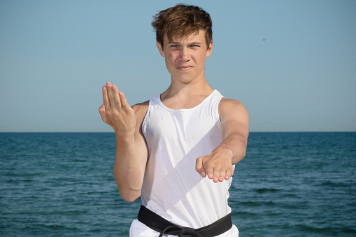 A 17 Year Old Teenage Black Belt Doing Karate on A Beach