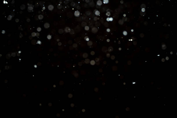 Snowfall isolated on black background. Abstract white bokeh background.