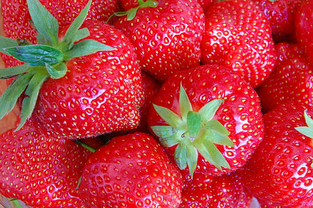 Strawberry paradise stock photo