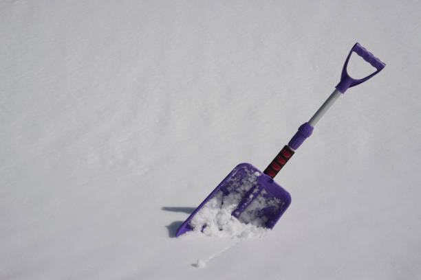 Shovel for removing snow