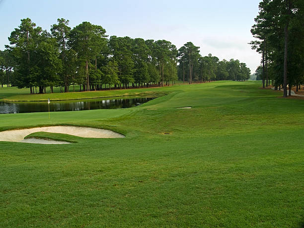 istock Golf course fairway, sand trap and green with trees in back 146790159