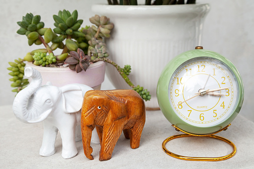 Stylish round clock, elephant figurines and potted succulent plants on a bedside table