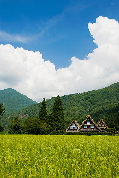 istock The world heritage Shirakawa-go. 146790300