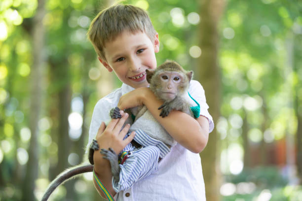 istock A happy boy holds a little monkey in his hands. 1467903308