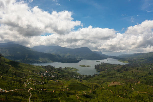 istock Lake among mountains and tea plantations. 1467904595