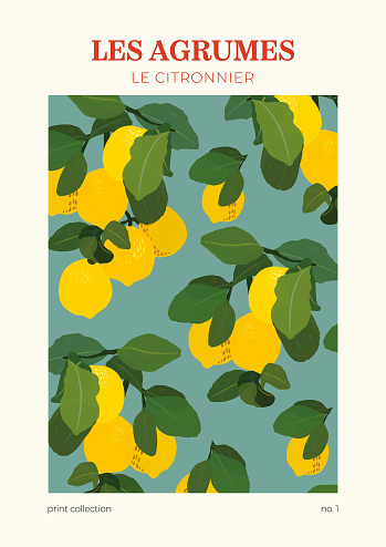 Le Citronnier Poster. Colorful print with lemon pattern. Vintage aesthetic style. 90s 80s 70s groovy poster. Hand drawn fruit pattern. Vector illustration.