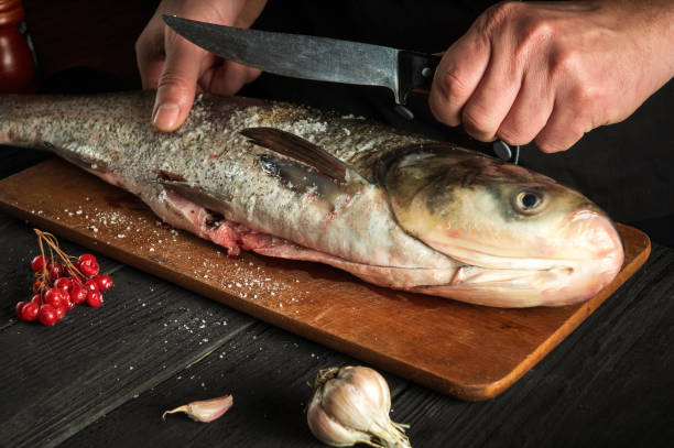 istock The chef prepares silver carp in the restaurant kitchen. Preparation for cutting fish with a knife. Work environment on the kitchen table. 1467906333