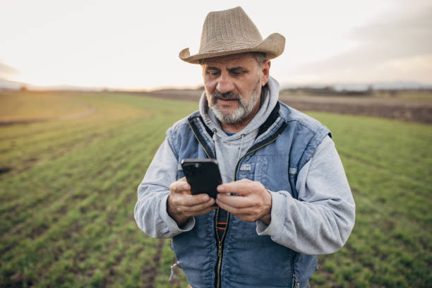 istock Senior farmer using mobile phone on the agricultural field 1467908311