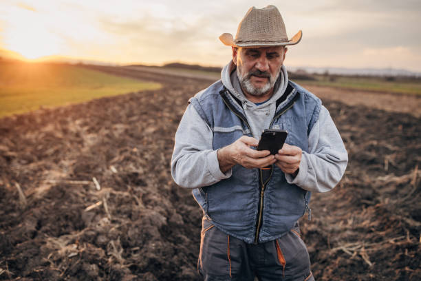 istock Senior farmer using mobile phone on the agricultural field 1467908812