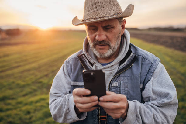 istock Senior farmer using mobile phone on the agricultural field 1467910016