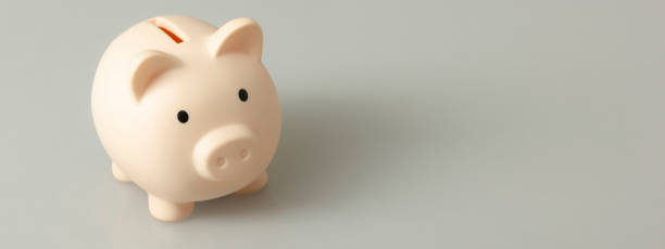 istock Piggy bank and book. College fees saving concept, copy space for text 1467910071
