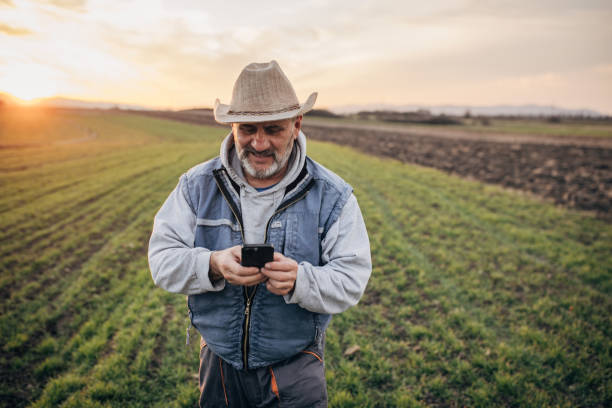 istock Senior farmer using mobile phone on the agricultural field 1467910233