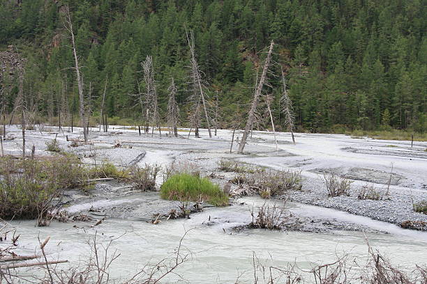 istock Altai Mountain in summer 2008 146791033