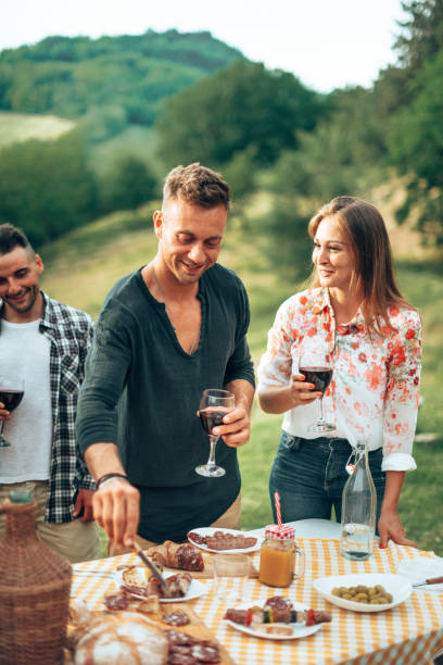 istock friends toasting at the picnic 1467910341