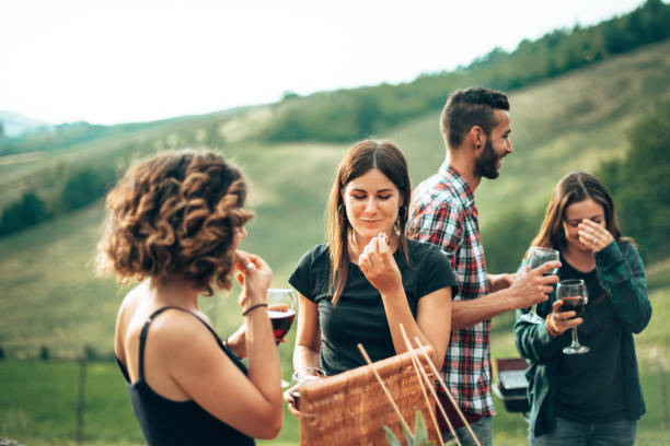 istock friends toasting at the picnic 1467910391