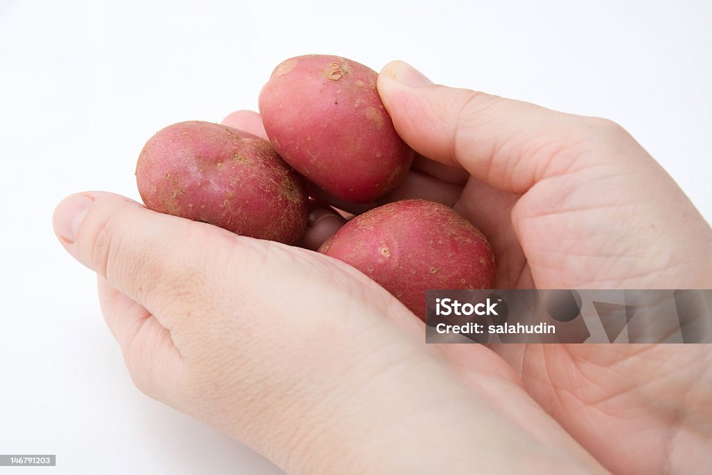 Картофель в руки - Стоковые фото Белый фон роялти-фри