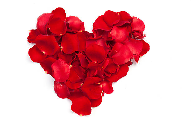 istock Heart of red petals roses 146791420