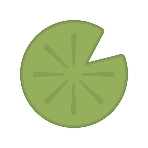 240+ Cartoon Of The Lotus Flower Logo Illustrations, Royalty-Free