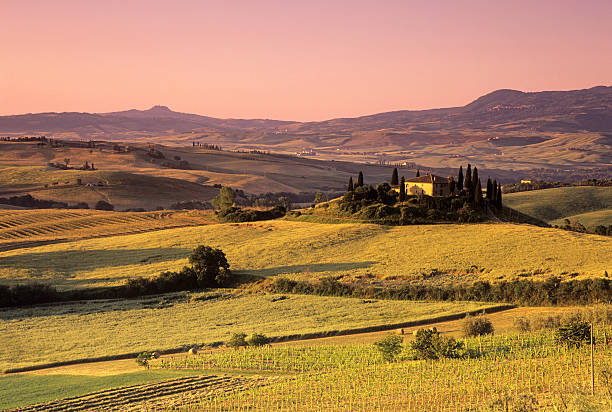 istock Tuscan landscape at dawn 146791826