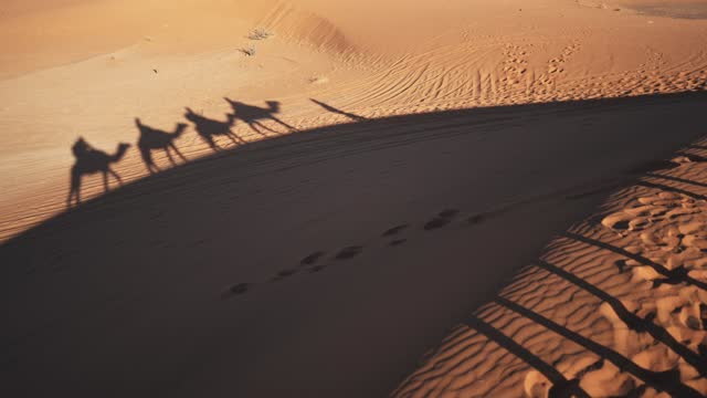 Shadow of asian tourists on train of camels crossing Sahara Desert Morocco led by camel driver  during sunset