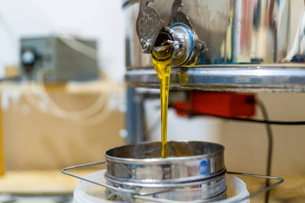istock Summer sweet bee farming honey. Honey farming equipment. 1467919607
