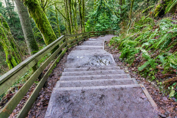 istock Meadowdale Park Trail 4 1467919882
