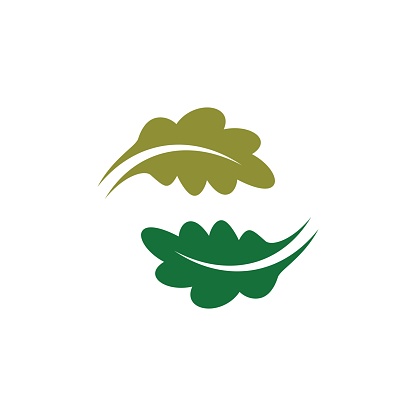 Oak leaf icon images illustration design