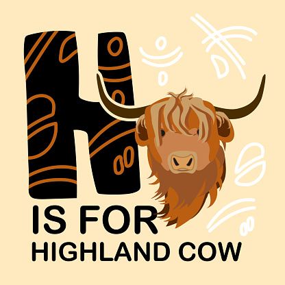 Cute children zoo alphabet H letter of Highland cow for kids learning English vocabulary.