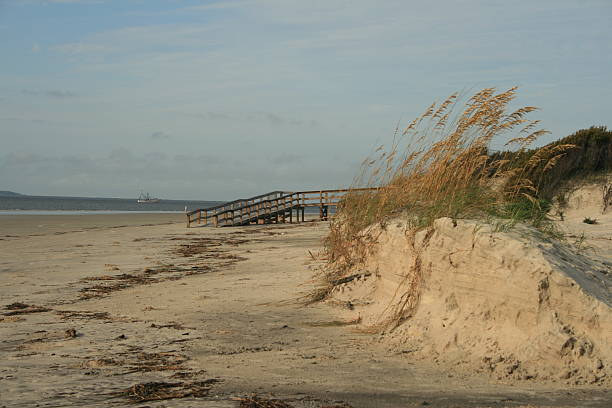 jekyll playa y al mar con dunas de paja - jekyll island saint simons island cumberland island sea grass fotografías e imágenes de stock