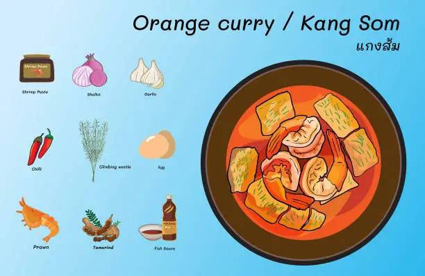 Vector illustration of Orange curry , Kang Som