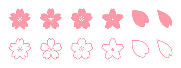 różowe japońskie kwiaty wiśni, płatki wiosennych kwiatów wiśni, zestaw materiałów ilustracyjnych ikon - graphix stock illustrations