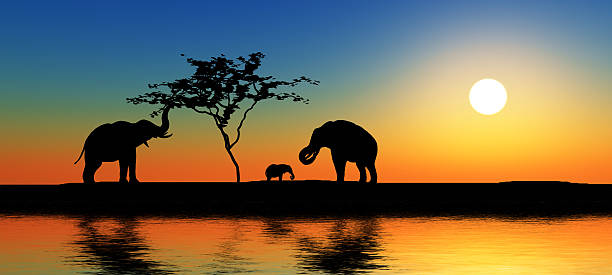 istock Family of elephants. 146792281