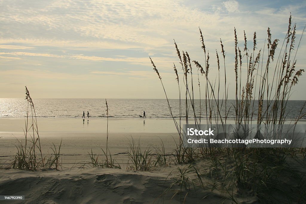 A pasos de la playa - Foto de stock de Pradera marina libre de derechos