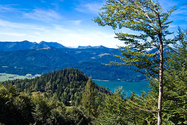istock Mountain vacation at the lake in Austria 146792701