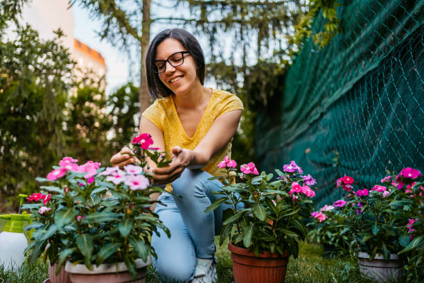 istock Young Woman Nurturing Her Garden In The Backyard 1467931955