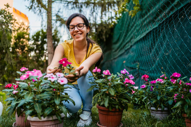 istock Young Woman Nurturing Her Garden In The Backyard 1467932001