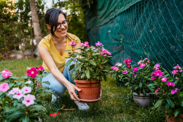 istock Young Woman Nurturing Her Garden In The Backyard 1467932018