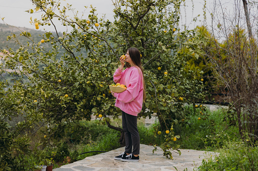 Side view of smiling female in a bright pink sweater gathering citruses in the green garden holding a bowl of fresh colourful citrus fruits in Mediterranean Turkey
