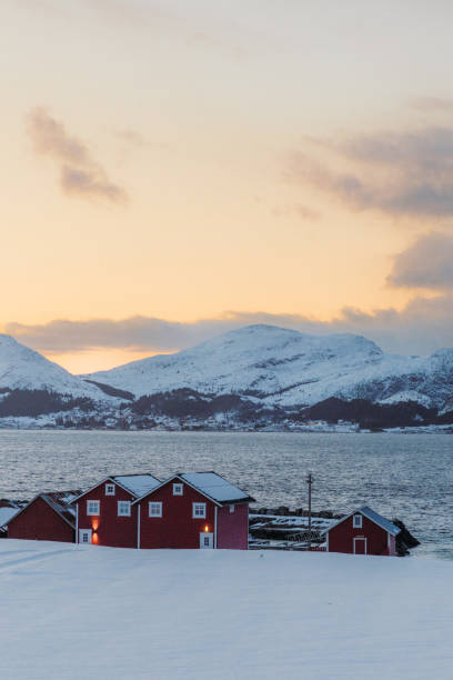 paisaje escénico de invierno en la costa de noruega con casas rojas - norway chalet nordic countries bay fotografías e imágenes de stock