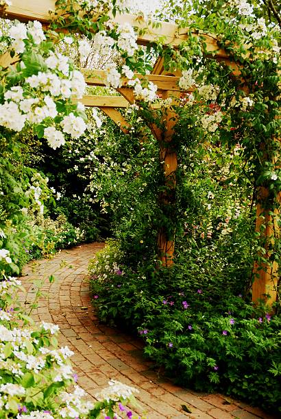 istock Romantic entrance to the garden 146793502