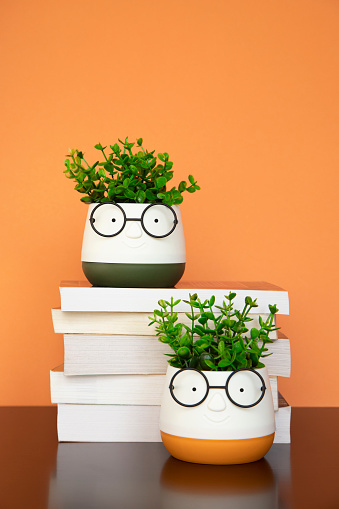 Books and plants with glasses