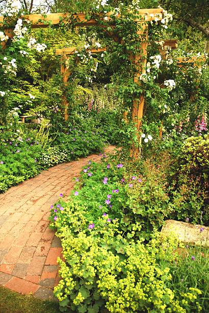 istock Romantic entrance to the garden 146793505
