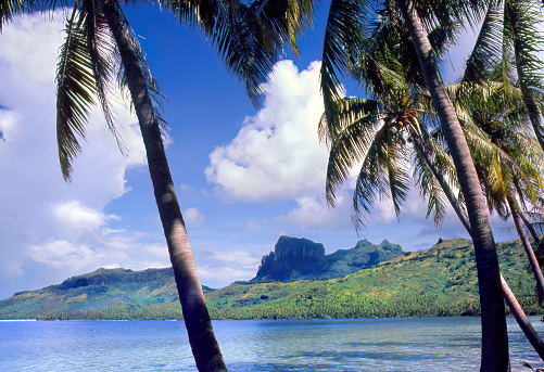 Coconut palms frame the waters of the lagoon surrounding Bora Bora and Mount Otemanu in the distance.