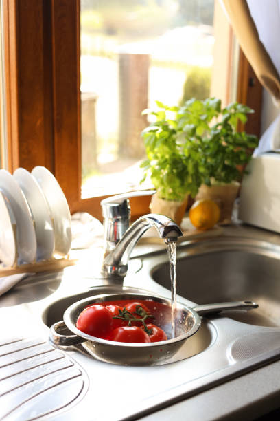 istock Fresh ripe tomatoes under tap water in kitchen sink 1467938390