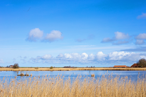 Lakelands in East Frisia near Pilsum Germany, landscape and bird sanctuary on the North Sea coast