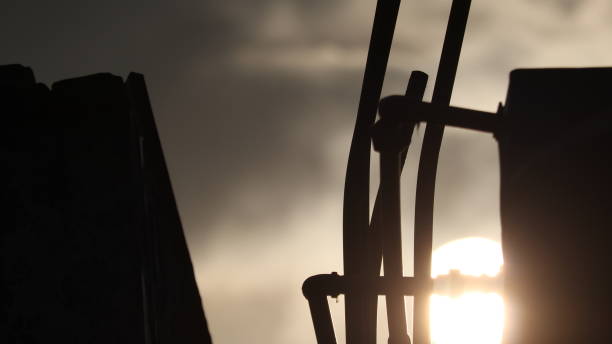 istock The silhouettes, The nature 1467941190