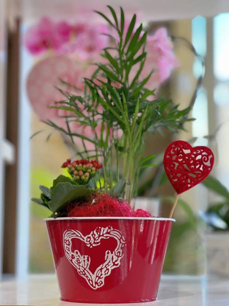 istock Red flower pot with plant and heart. 1467944275