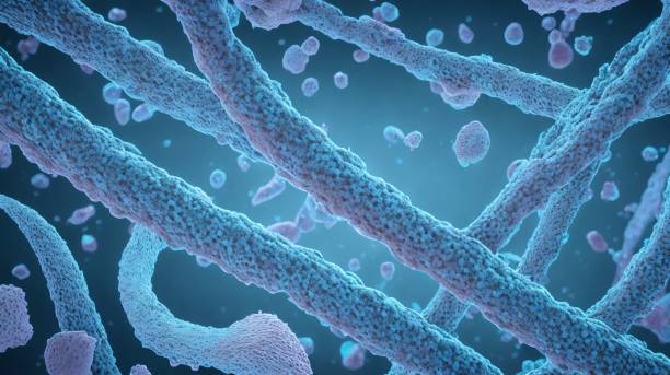 istock Marburg virus disease concept, virus illustration idea 3d rendering. 1467945908