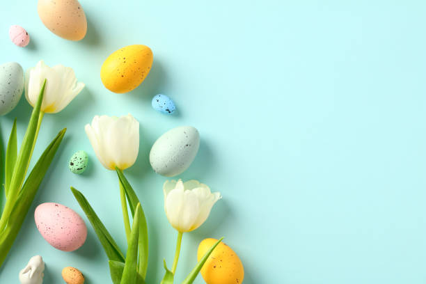 istock Happy Easter greeting card design. Flat lay tulips and Easter eggs on pastel blue background. 1467947076